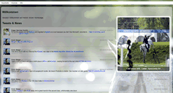 Desktop Screenshot of erichsteiger.com