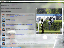 Tablet Screenshot of erichsteiger.com